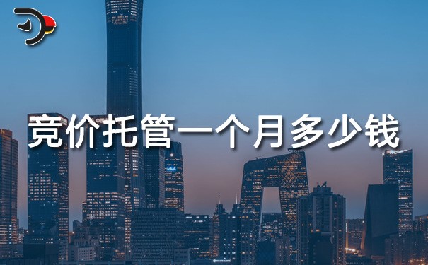 chat競價(jià)托管一個(gè)月多少錢.jpg