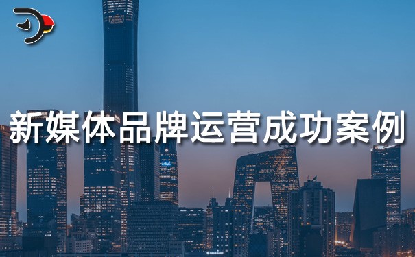 chat新媒體品牌運(yùn)營(yíng)成功的案例.jpg
