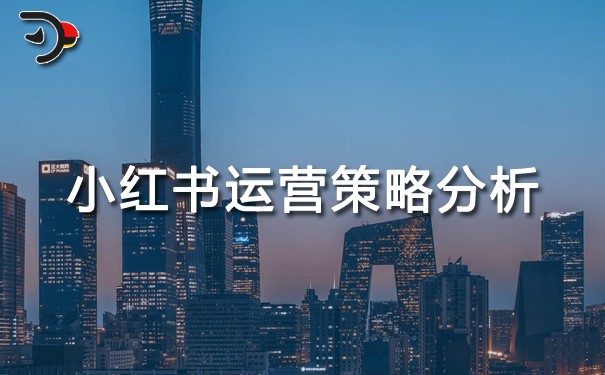 小紅書運(yùn)營(yíng)策略分析.jpg